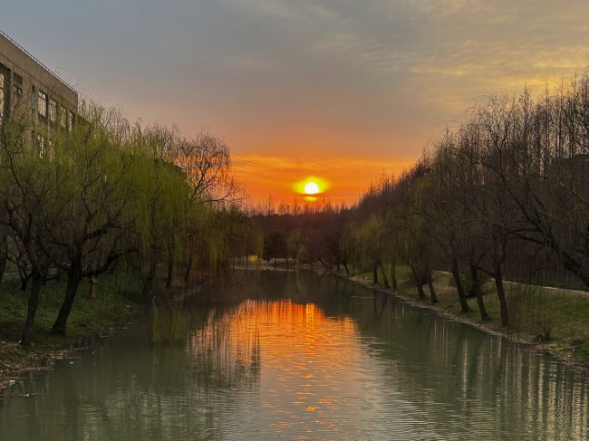 春晖点燃新柳 10230110459 魏康雅 18966819535.jpg