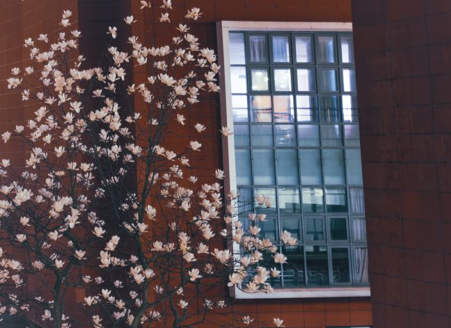 一教 51262901040 贾韶容 13156200176.jpg